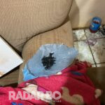 DENARC Cascavel deflagra segunda fase da operação Mil Grau