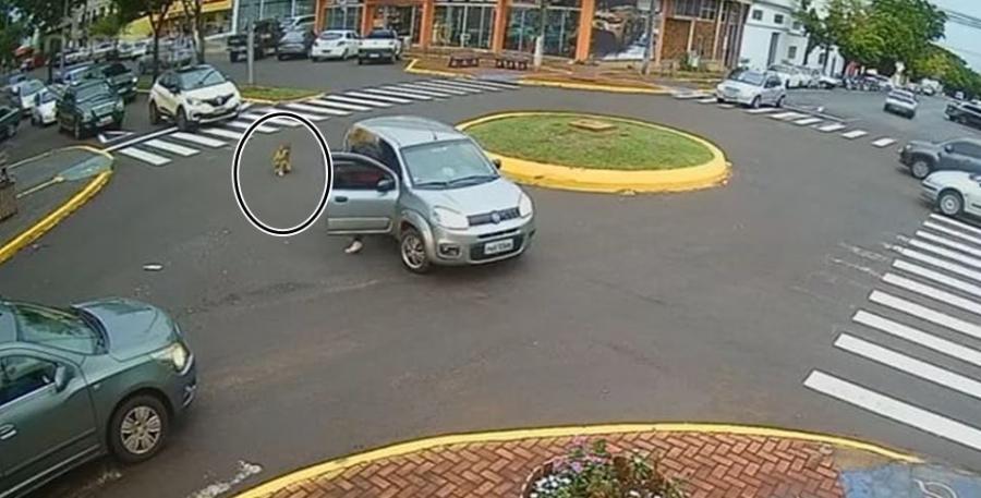 Câmera flagra criança caindo de carro em movimento em rotatória no centro de Marechal Rondon