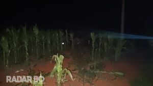Acidente envolvendo três veículos é registrado na PR-364 entre Palotina e Terra Roxa