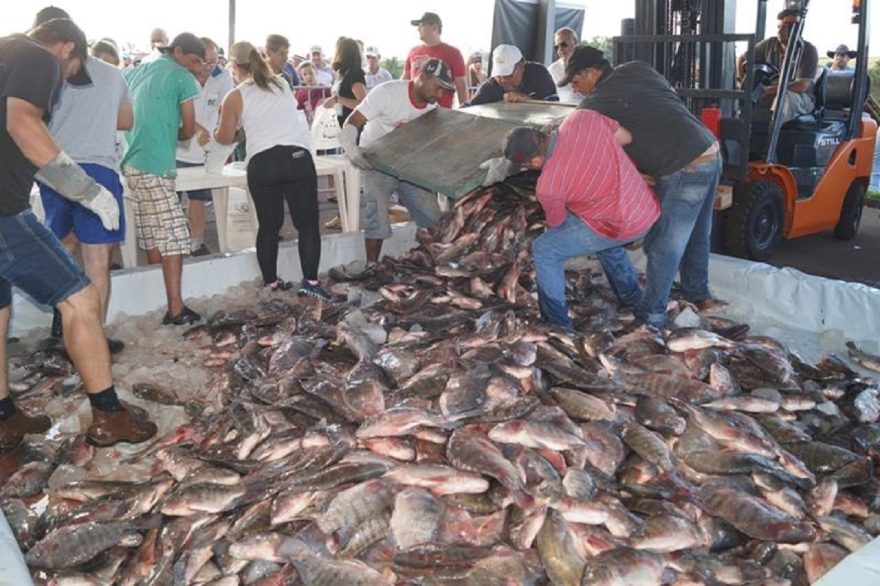 Moradores de Boa Esperança receberão peixe da prefeitura para a Semana Santa