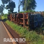 Caminhão carregado de frangos tomba na PR-239 entre Toledo e Vila Nova