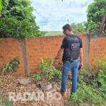 Polícia Civil apreende pés de maconha e prende traficante em São Pedro do Iguaçu