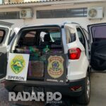Helicóptero Falcão 13 auxilia na apreensão de Ecosport carregada com maconha entre Toledo e São Pedro
