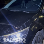 Guarda Municipal e PM atendem colisão entre carro e égua em Toledo