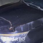 Guarda Municipal e PM atendem colisão entre carro e égua em Toledo