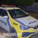 Guarda Municipal e PM atendem colisão entre carro e égua em Toledo