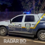 Guarda Municipal e PM atendem colisão entre carro e égua em Toledo