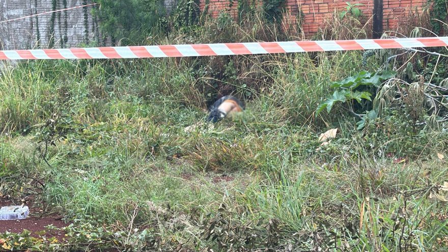 Corpo não identificado é localizado em matagal no bairro Brasmadeira em Cascavel