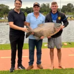 Pato Bragado: tambacu gigante de 22,5 kg é fisgado em pescaria municipal