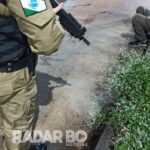 Procurado pela justiça de Maringá é preso pela ROTAM em Toledo após perturbar em hamburgueria
