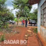 Polícia Civil apreende pés de maconha e prende traficante em São Pedro do Iguaçu