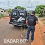 Polícia Civil apreende pés de maconha e prende traficante em São Pedro do Iguaçu