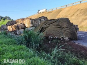 Caminhão carregado com recicláveis tomba na BR-163 entre Marechal Rondon e Toledo