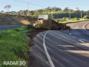 Caminhão carregado com recicláveis tomba na BR-163 entre Marechal Rondon e Toledo