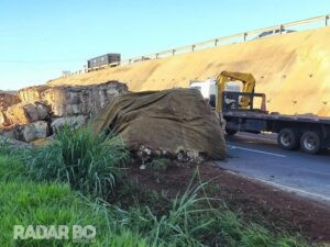 Caminhão carregado com recicláveis tomba na BR-163 entre Marechal Rondon e Toledo