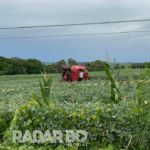 Motorista morre em grave acidente na PR-180 em Cascavel