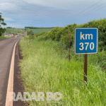 Motorista morre em grave acidente na PR-180 em Cascavel
