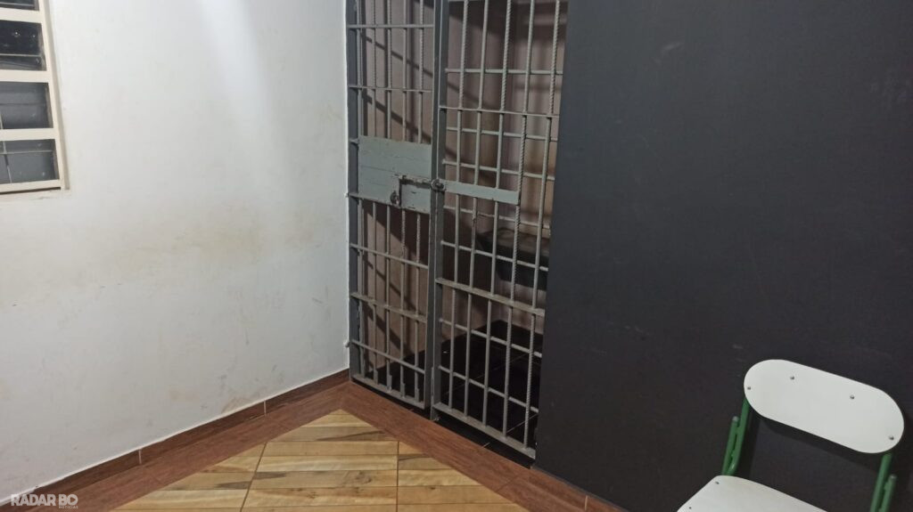 Mulher é presa após invadir casa morder morador e ser reconhecida por furto em Toledo