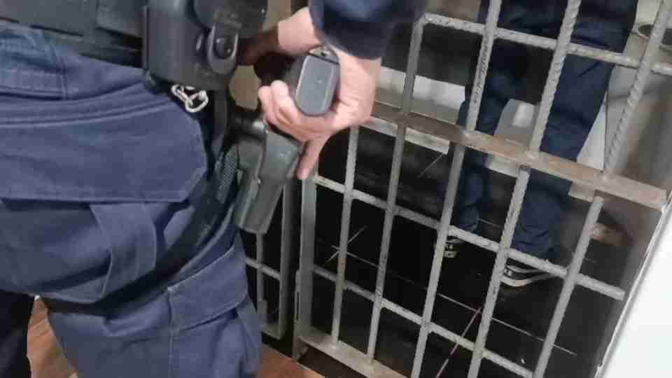CACHORRO REAGE A TENTATIVA DE ASSALTO CONTRA MÃE E FILHA E AJUDA A IMPEDIR ROUBO EM TOLEDO